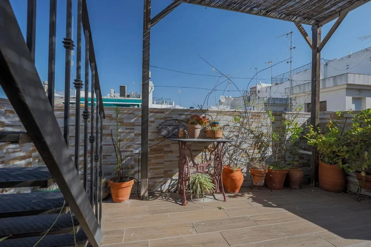 Fantastico Duplex 2 Terrazas 3 Habitaciones 2 Banos Sevilla 0*,