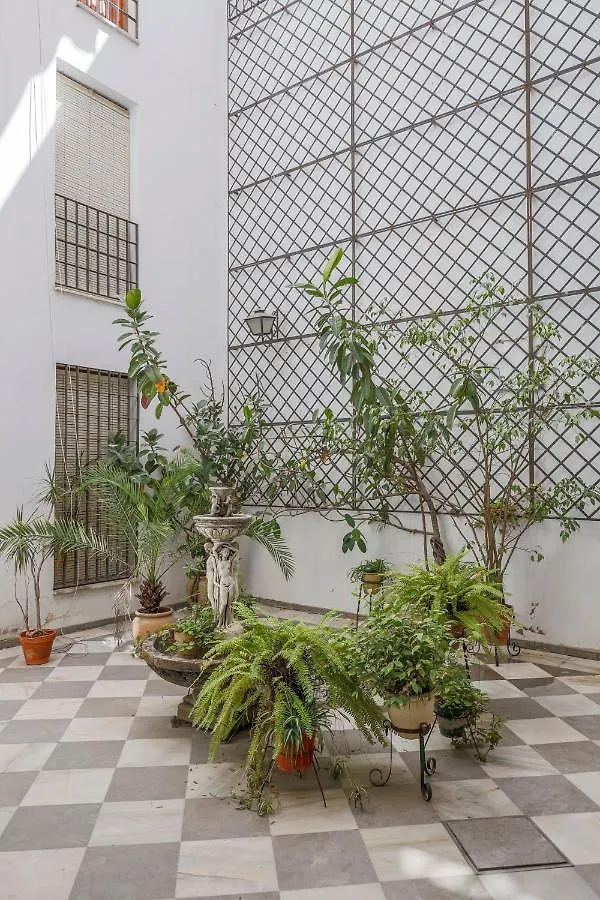 Fantastico Duplex 2 Terrazas 3 Habitaciones 2 Banos Sevilla Spanien